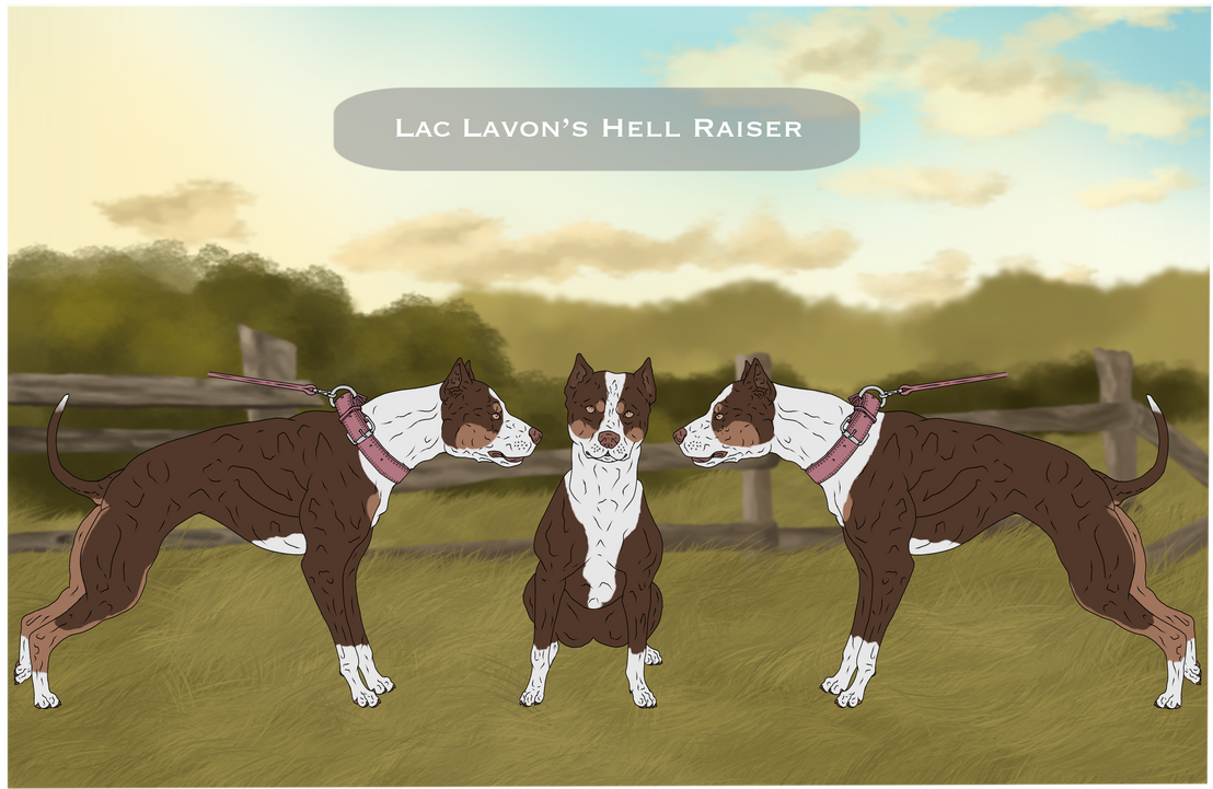 Deviantart Hell Raiser Lac Lavon's Hell Raiser by LacLavonAcres on DeviantArt