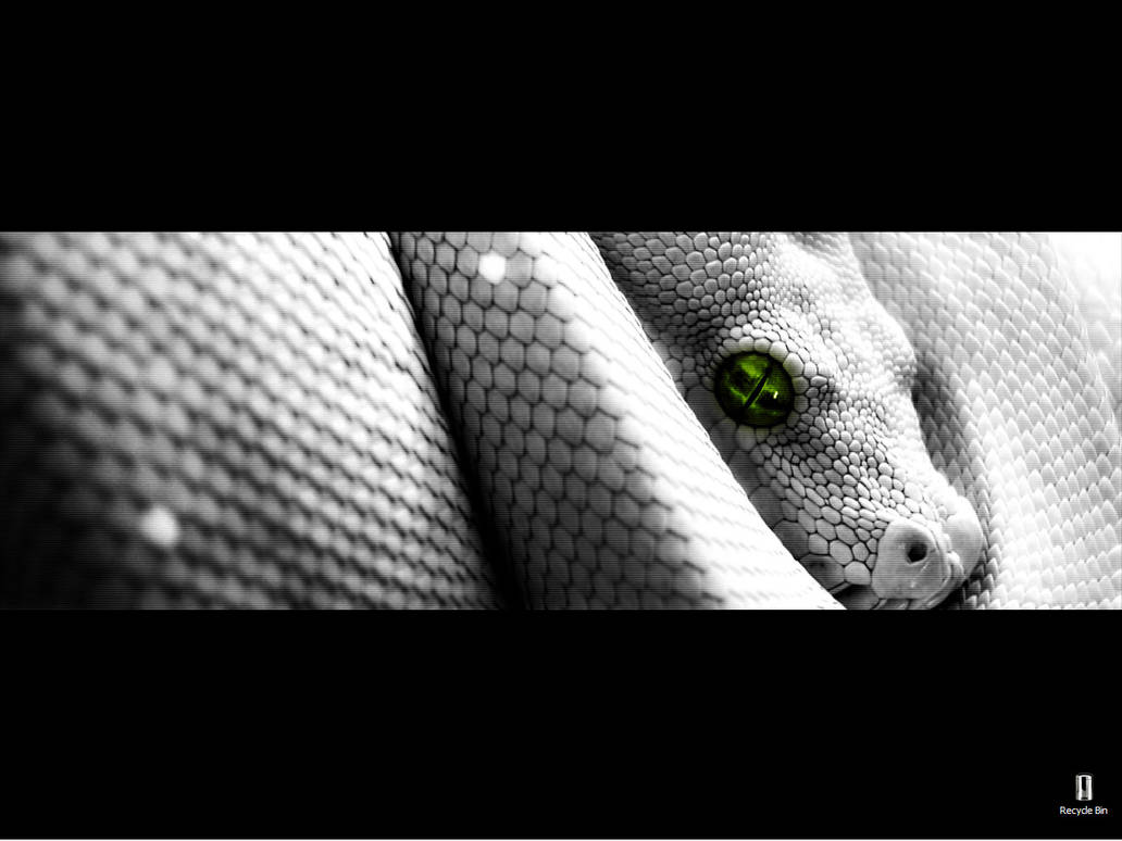 Snake Byte