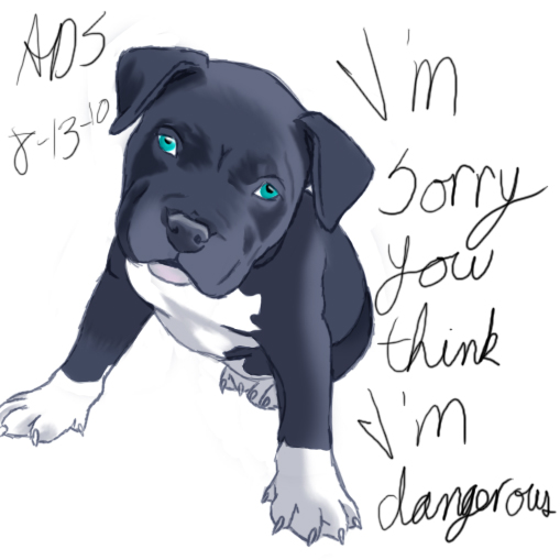 American Blue Nose Pitbull By TheNekohimeChan On DeviantArt american-blue-nose-pitbull-by-thenekohimechan-on-deviantart