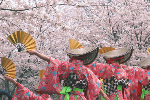 Sakura Dancers