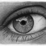 Eye of the artist