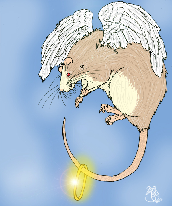 Angel Rat