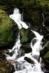 Woodland Waterfall