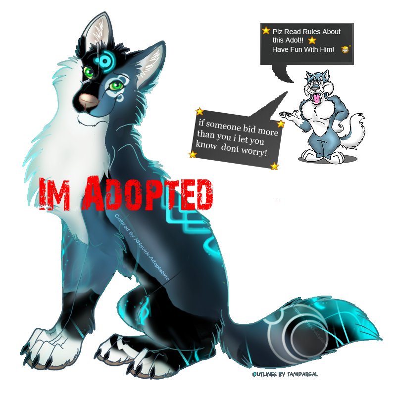 Fox Adoptable - Close