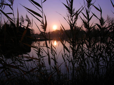 Lake Sunset