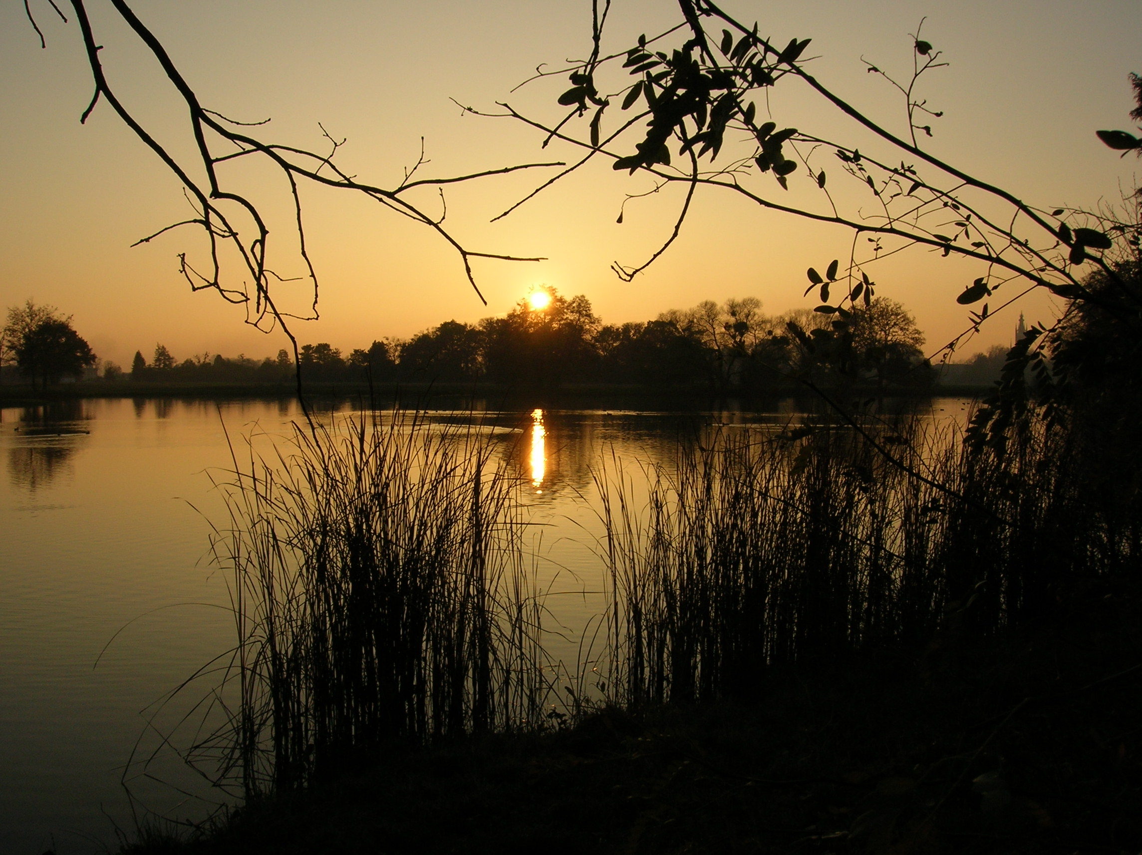 Lake Sunset II