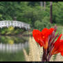 The Bridge Across a Calm Lake