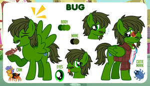 Bug Reference Sheet