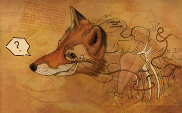 Curious Mr.Fox