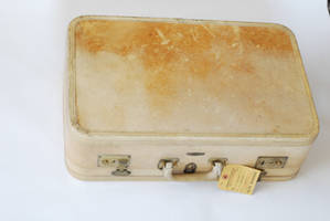 suitcase beige