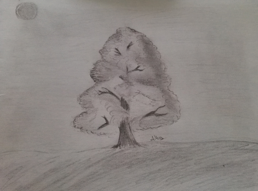 A practice tree