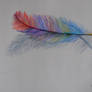 Feather Color Study