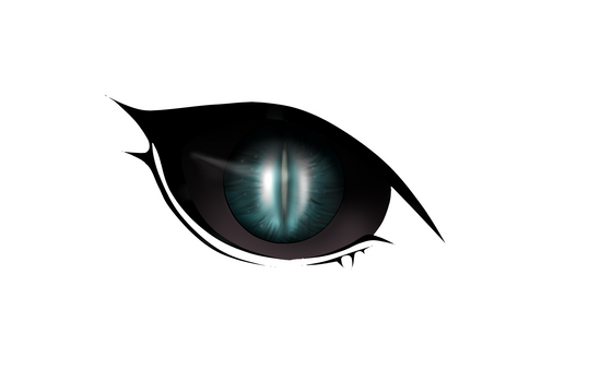 Adayans eye