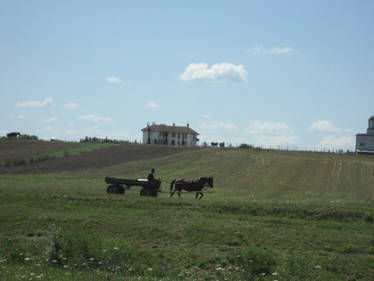 More Horse and carts