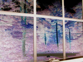 Painted Trees in the Window