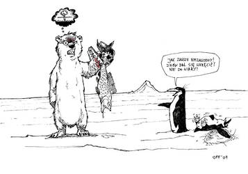 Penguins and polar bear 4