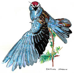 Prisma-Sparrow