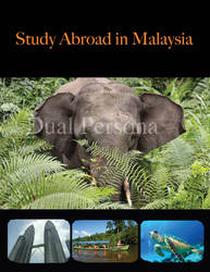 Study Abroad brochure (cover)