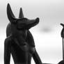 Anubis on watch