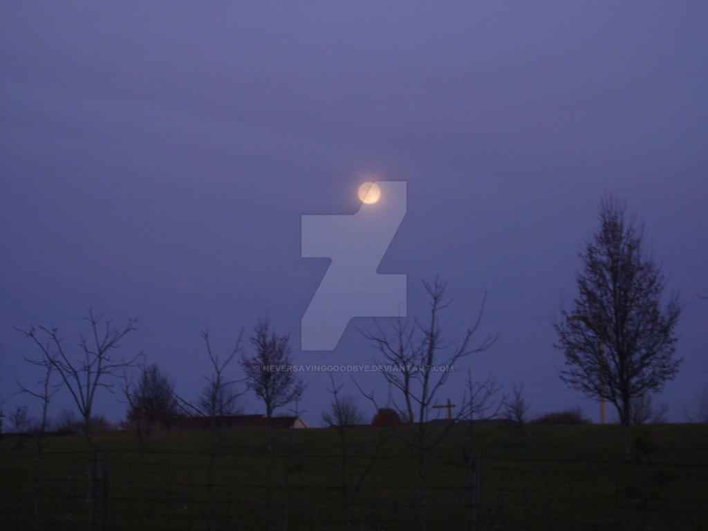 Lttle Moon Little Moon by Neversayinggoodbye on DeviantArt