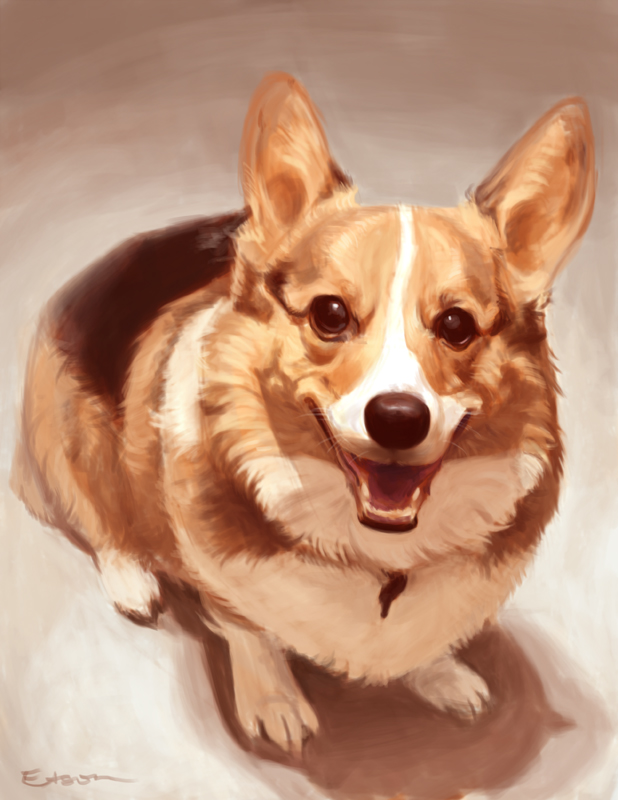 Corgi