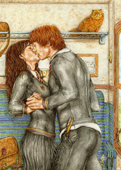 Ron and Hermione It's Only Love