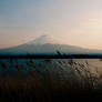 Mt. Fuji