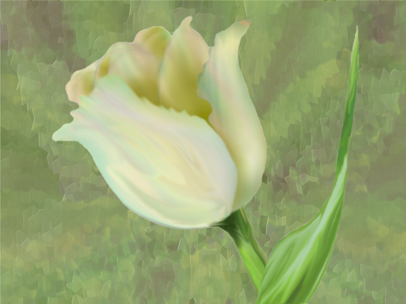 tulip