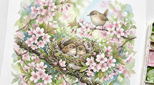 Nest hidden in blossoms 202605132302