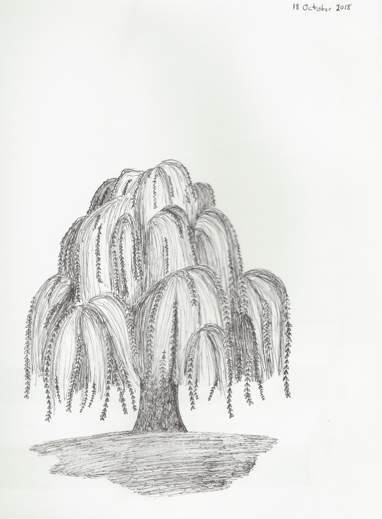 Willow tree 18 Oct 18 by GraceERoyce on DeviantArt