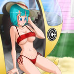 Bulma Kamehouse by mayabriefs