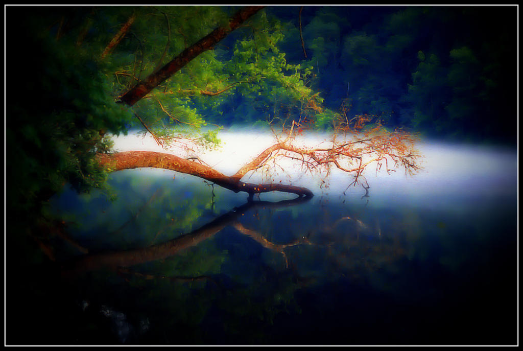 Part Dipping Tree Dipping Tree by tkrewson on DeviantArt