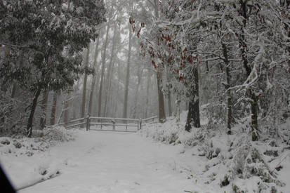 Stock - Snowy Gate 2