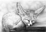Fennec Fox by Okamigan