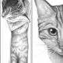 Bookmarks - Cats