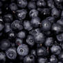 Blueberries.