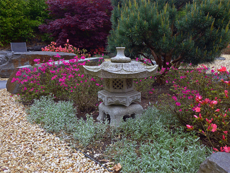 Japanese Garden Pyrmont