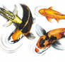 Graceful Glides: Koi in Motion