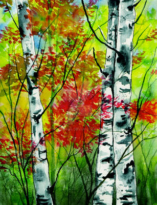 Autumn Woodland by aragonia