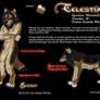 Celestialwolf Character Sheet