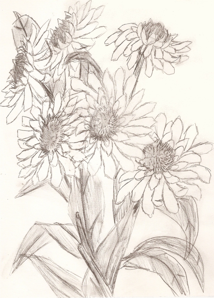 Observation Practice: Flowers