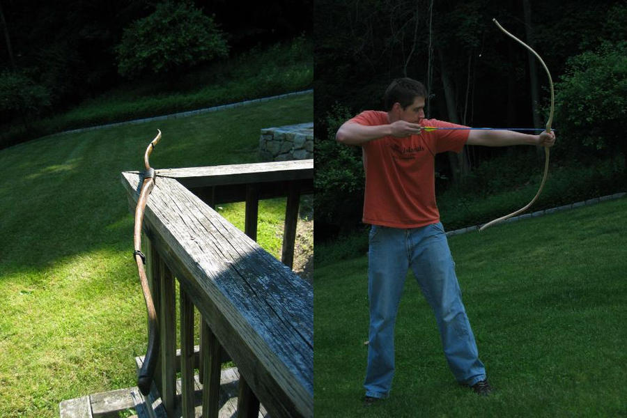 Primitive Bow I