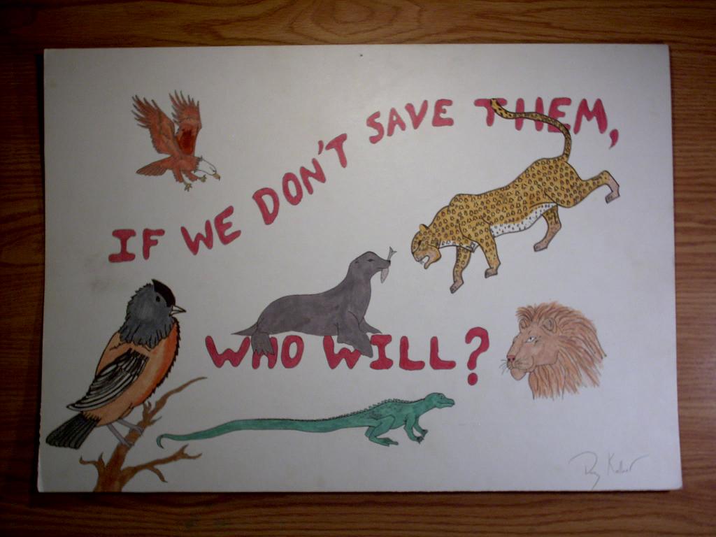 Save them thar Animals