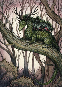 Forest Dragon