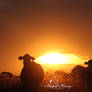 The Farmer's Sunset