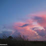 marmalade sky and windy grass