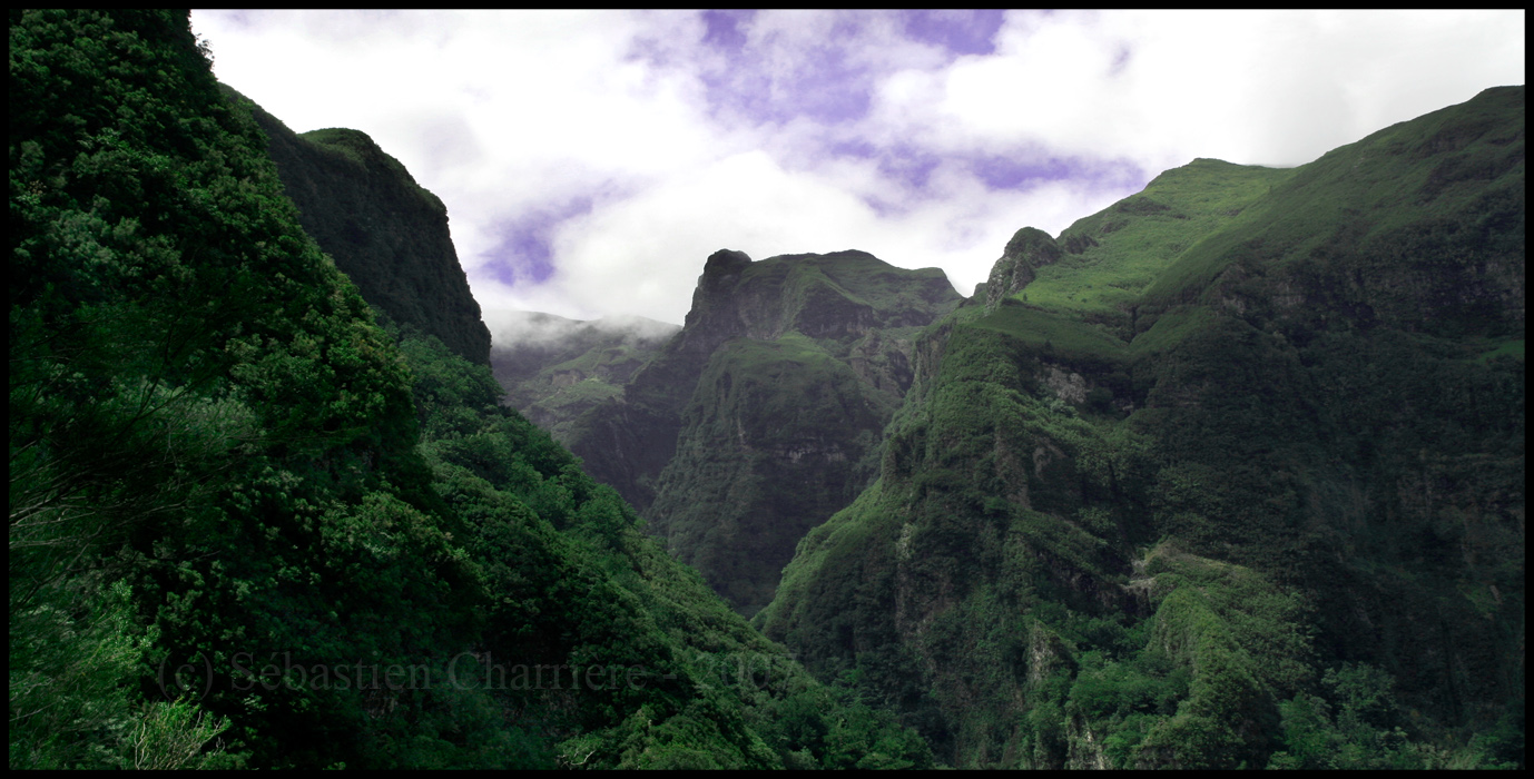 Madeira - Back To The Garden