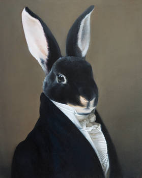 Portrait of a rabbit