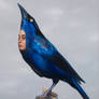 The Blue Bird