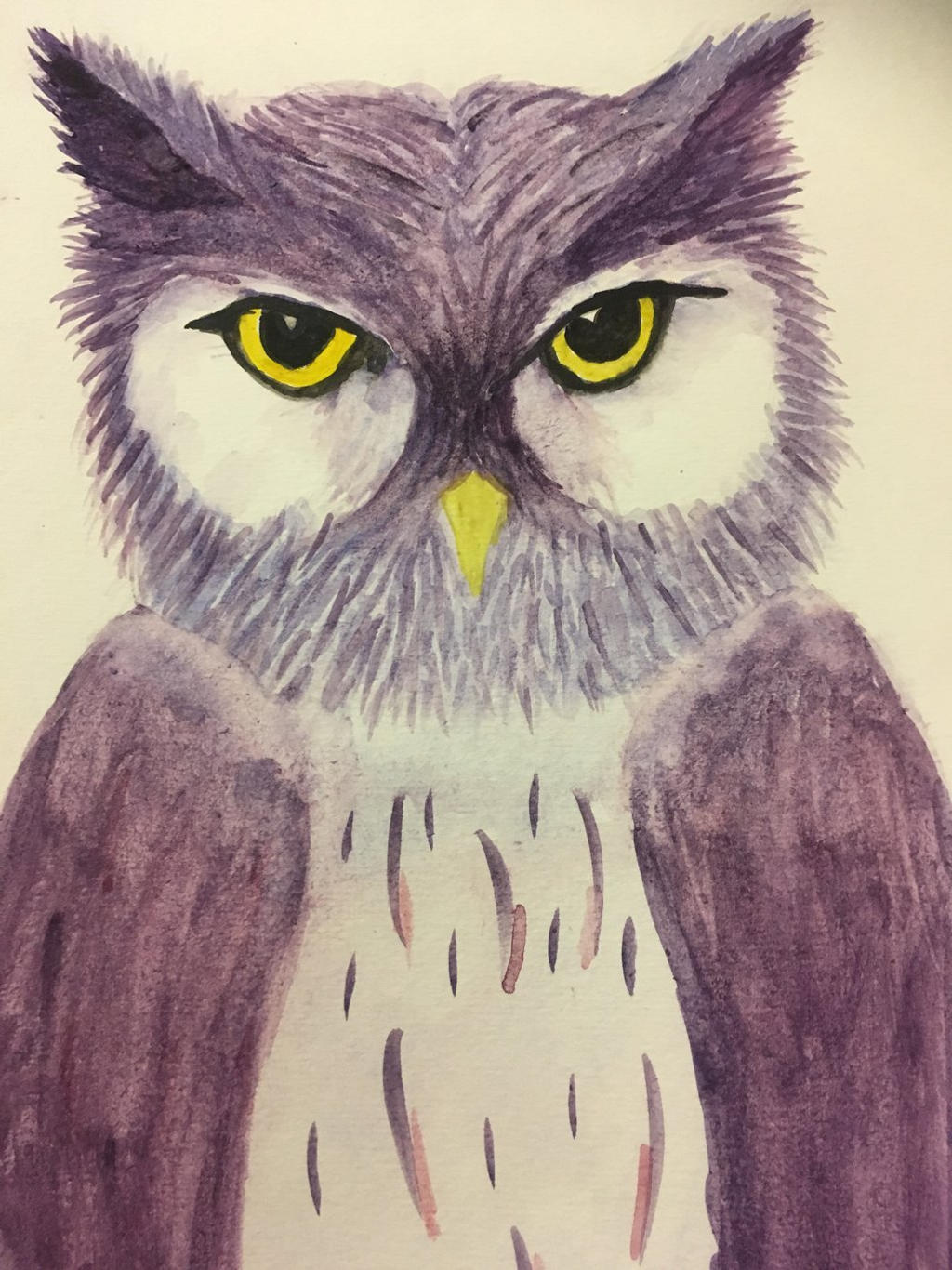 Owl watercolouring 